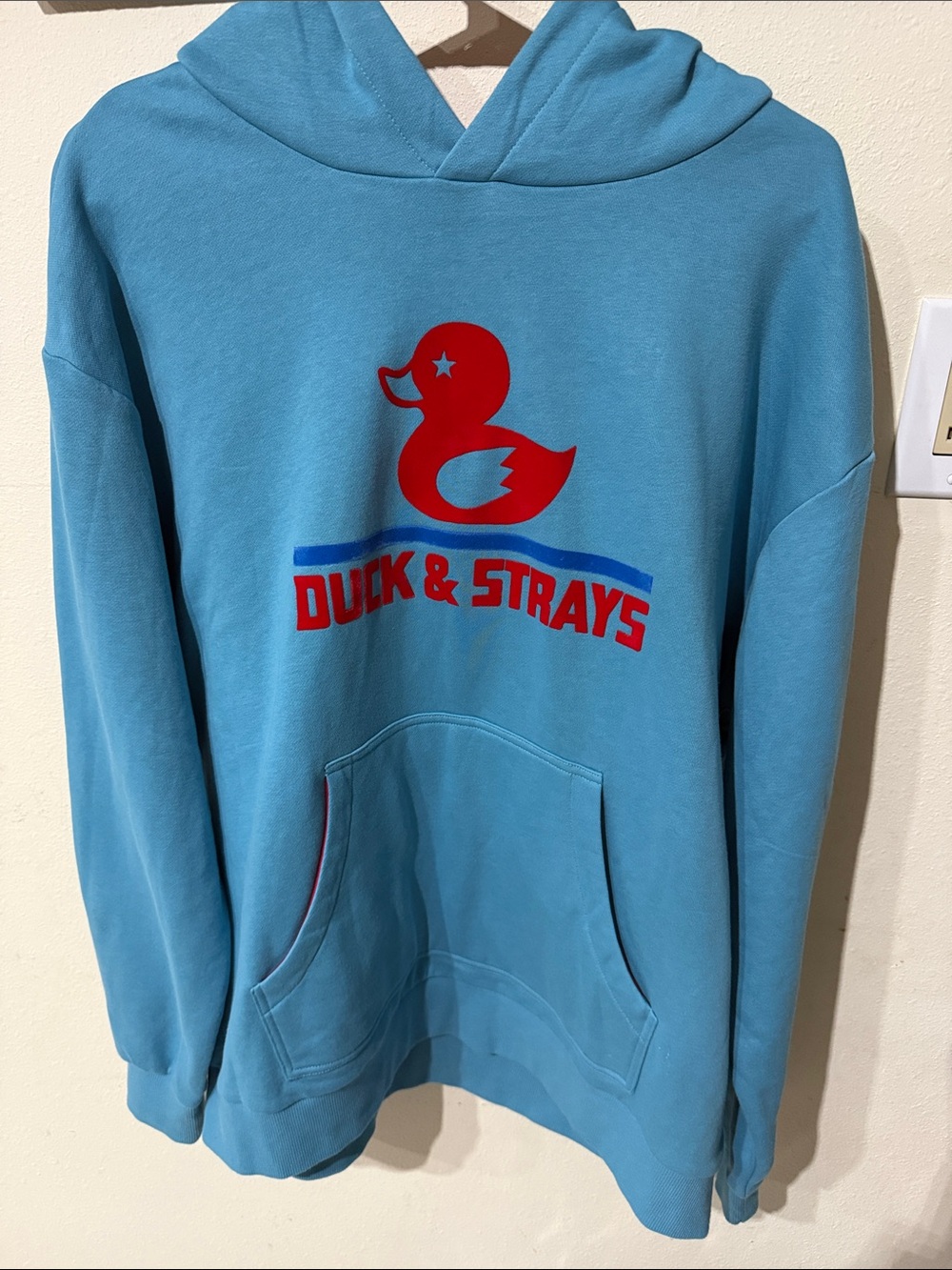 Duck & Strays Logo Hoodie in Light Teal with Red Graphic